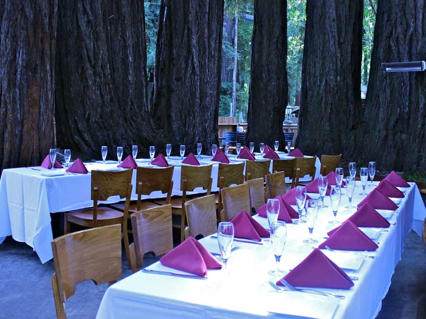romantic dinner in the redwoods